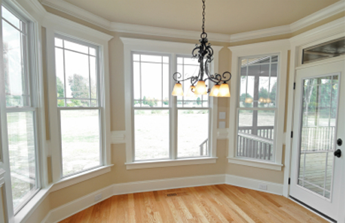 Window & Door Replacement