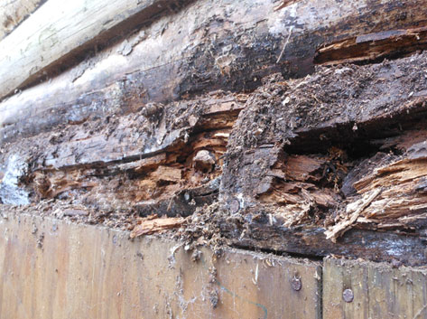 Structural Repair